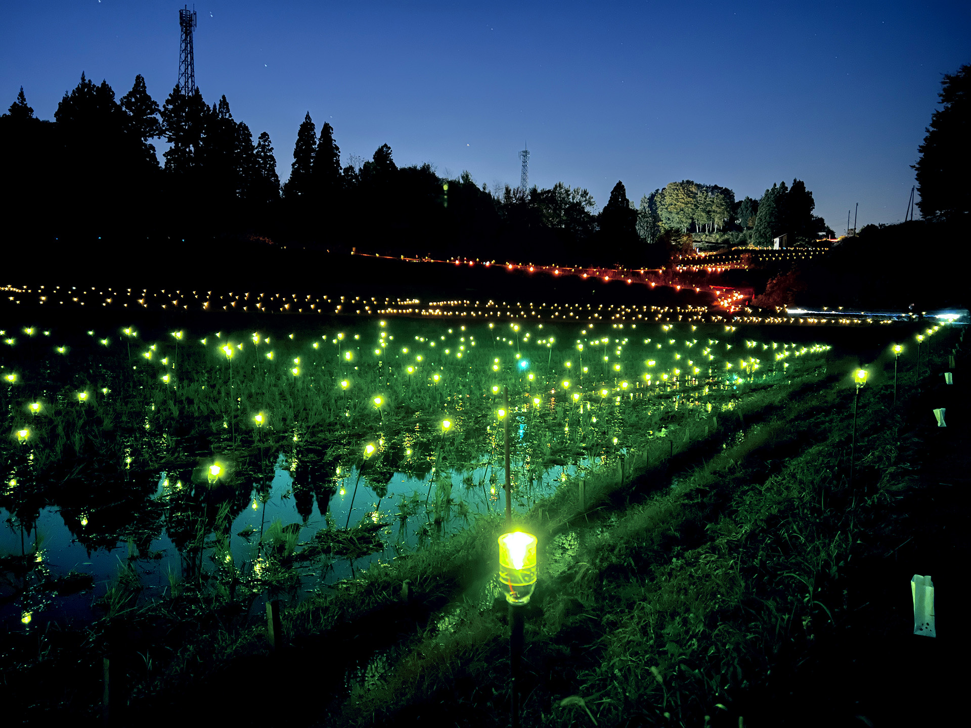 よいた楽山苑 秋の紅葉ライトアップ | 長岡市イベント情報集約サイト